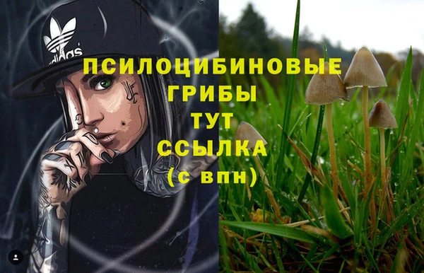 соль ск Арсеньев