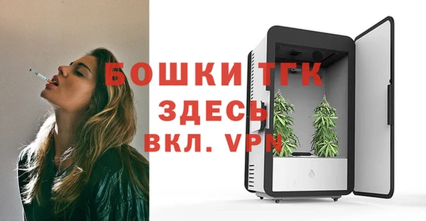 соль ск Арсеньев