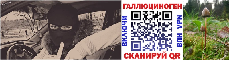 Псилоцибиновые грибы прущие грибы купить Муравленко